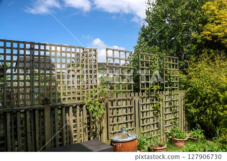 Corner of an Urban Garden with Trellis Plants and Garden Equipment on a Summer Morning Corner of an Urban Garden with Trellis Plants and Garden Equipment on a Summer Morning 127906730