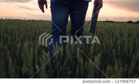 Agriculture, Farmer walks through golden wheat, tablet in hand, sunset colors fill the sky, rubber boots on earth, digital agriculture progress, inspecting crop quality, blending tradition and 127906757