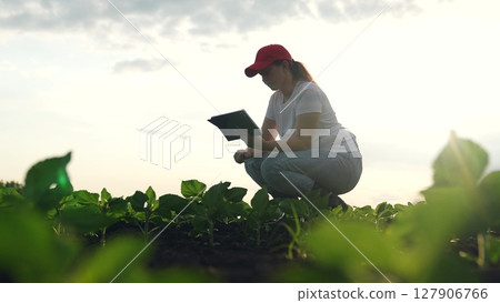 Agriculture, Technology meets agriculture, Woman farmer working at sunrise, Tablet-powered crop inspection, Female agricultural scientist, Sustainable farm management, Data-driven farming, Young woman 127906766