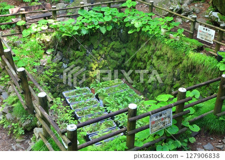 [愛媛郡]上林森林公園的風之洞窟（上林風之洞窟） 127906838