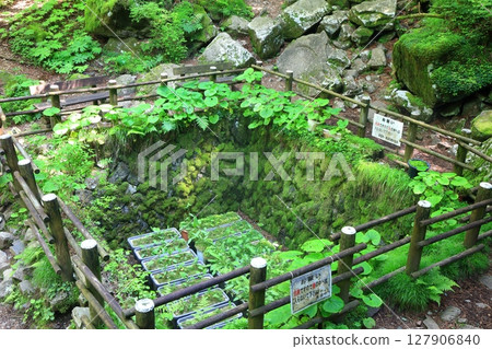 [愛媛郡]上林森林公園的風之洞窟（上林風之洞窟） 127906840