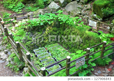 [愛媛郡]上林森林公園的風之洞窟（上林風之洞窟） 127906843