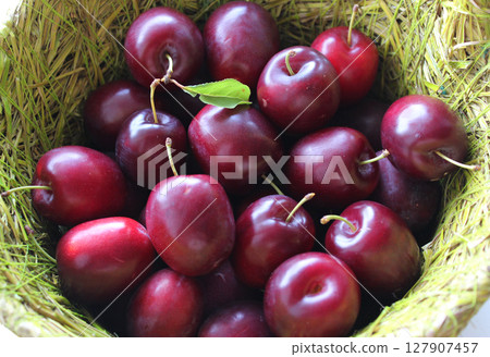 Freshly Picked Plums Inside A Wicker Basket Detailed Stock Photo 127907457