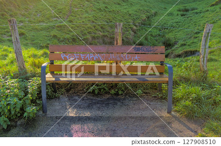 A bench sitting on a promenade adorned with graffiti art. A bench sitting on a promenade adorned with graffiti art. 127908510