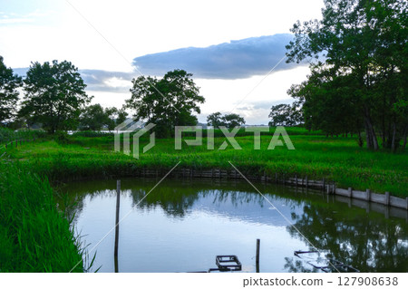 宮城縣伊豆沼市拉姆薩爾三角區內沼水生植物園的夜景 宮城縣伊豆沼市拉姆薩爾三角區內沼水生植物園的夜景 127908638