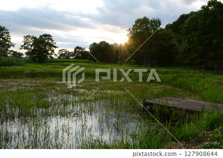 Ramsar Summary: Evening scenery of Izunuma and Uchinuma with dragonflies flying about Ramsar Summary: Evening scenery of Izunuma and Uchinuma with dragonflies flying about 127908644