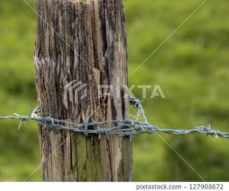 wooden post with barbed wire on a fence wooden post with barbed wire on a fence 127908672