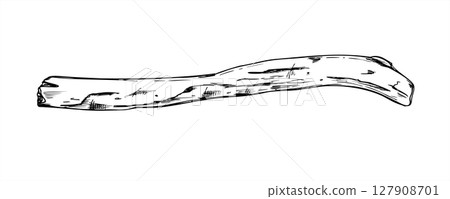 Dried cleaned old wooden stick or branch monochrome vector illustration painted by black inks. Decorative element graphic sketch for rustic decor, eco friendly packaging, and nature design Dried cleaned old wooden stick or branch monochrome vector illustration painted by black inks. Decorative element graphic sketch for rustic decor, eco friendly packaging, and nature design 127908701