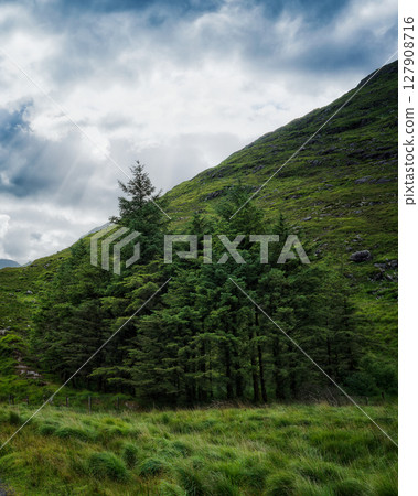 Green trees cluster on hillside under overcast sky in Connemara, Ireland during the daytime in summer, creating a peaceful outdoor landscape. Green trees cluster on hillside under overcast sky in Connemara, Ireland during the daytime in summer, creating a peaceful outdoor landscape. 127908716