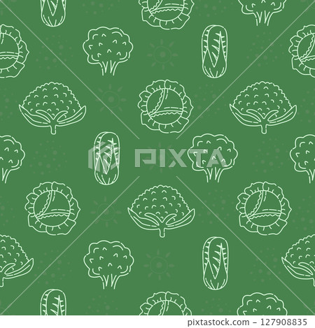 Different types of cabbage, green vector seamless pattern 127908835