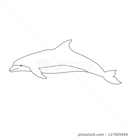 Vector flat hand drawn outline dolphin Vector flat hand drawn outline dolphin 127909494