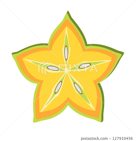 Star fruit slice vector illustration  127910456