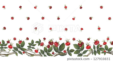 Horizontal seamless border of rose hips berries and leaves Illustration isolated on white background for fabric, textile, prints, design, cards Horizontal seamless border of rose hips berries and leaves Illustration isolated on white background for fabric, textile, prints, design, cards 127910831