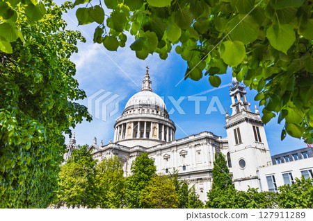 St Pauls Cathedral in London framed by lush summer leaves under clear blue sky, England 127911289