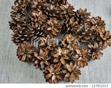 Pine cones on burlap background. Close-up 127912317