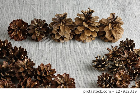 Pine cones of different sizes on burlap background 127912319