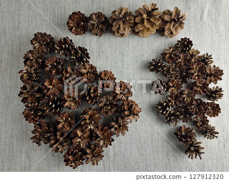 Pine cones of a different sizes on burlap background. 127912320