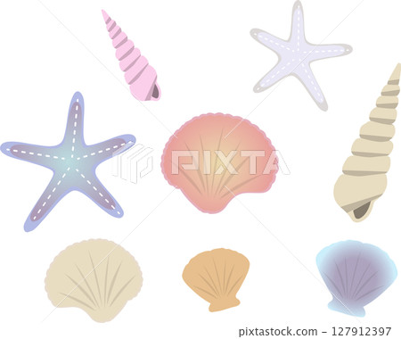Seashell Seashell 127912397