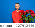 Bearded Hispanic man in his 40s wearing a red sweater holding a pretty, typical Spanish Christmas plant. Isolated on a blue background. 127912449