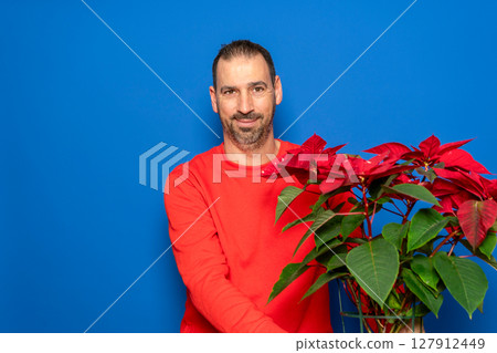 Bearded Hispanic man in his 40s wearing a red sweater holding a pretty, typical Spanish Christmas plant. Isolated on a blue background. 127912449