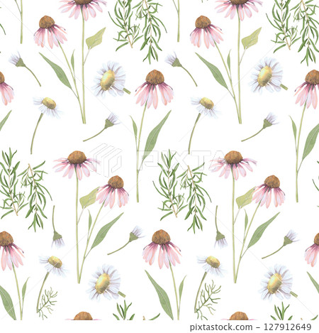 Watercolor seamless pattern of medicinal herbs Echinacea, chamomile,rosemary .Hand-drawn clip-art on white background. Realistic images of herbs for packaging, textiles,wedding,cards,menu 127912649