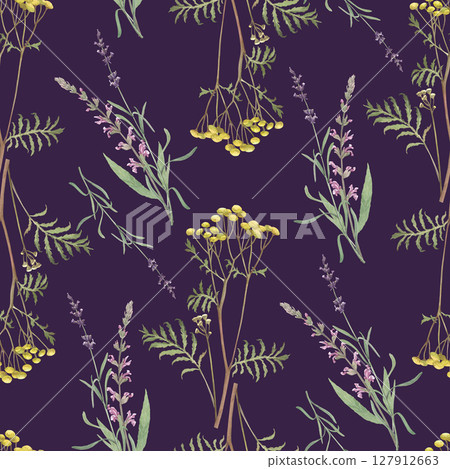 Watercolor seamless pattern of tansy, lavander, salvia.Hand-drawn clip-art on dark background.Realistic images of Medicinal herbs for packaging, textiles, printing, holiday cards, wedding, menu Watercolor seamless pattern of tansy, lavander, salvia.Hand-drawn clip-art on dark background.Realistic images of Medicinal herbs for packaging, textiles, printing, holiday cards, wedding, menu 127912663