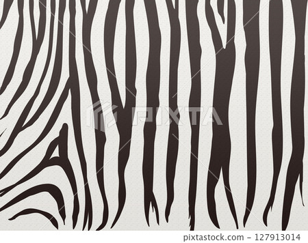 Zebra print pattern illustration material 127913014