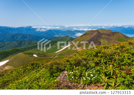 Climbing Mount Akita in early summer 127913315