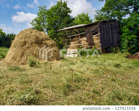 Countryside scenery with haystack among green grass meadow near old wooden hayloft barn at sunny summer day. With no people rural landscape, agricultural and country life theme. 127913556