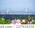 Yokohama Bay Bridge 127914258