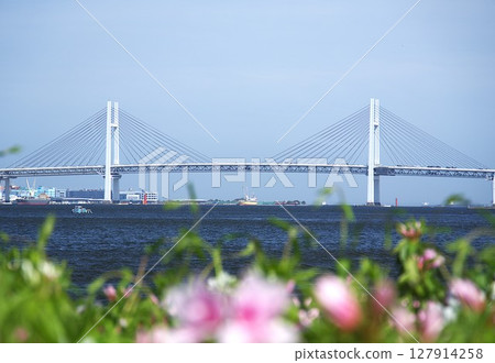 Yokohama Bay Bridge Yokohama Bay Bridge 127914258