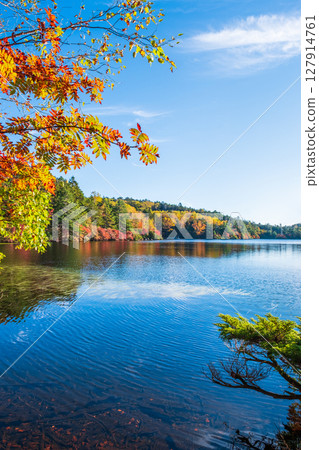 Shirakoma pond in autumn 127914761