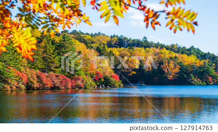 Shirakoma pond in autumn Shirakoma pond in autumn 127914763