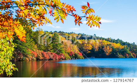 Shirakoma pond in autumn Shirakoma pond in autumn 127914767