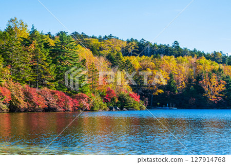 秋天的白駒池 127914768