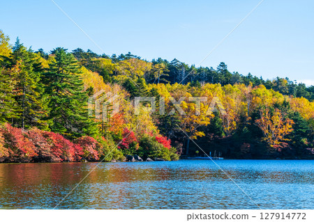 秋天的白駒池 127914772