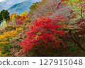 紅色葉子山 127915048