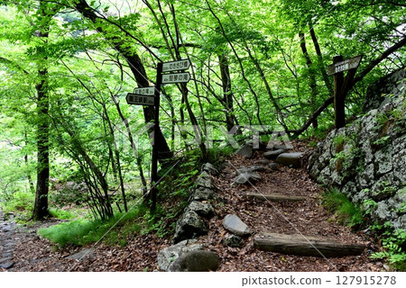 日光市龍王峽登山步道(自然步道)及其路線,以及新鮮的綠意 日光市龍王峽登山步道(自然步道)及其路線,以及新鮮的綠意 127915278