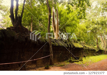 柬埔寨 Koh Ker 遺址 12 127915377