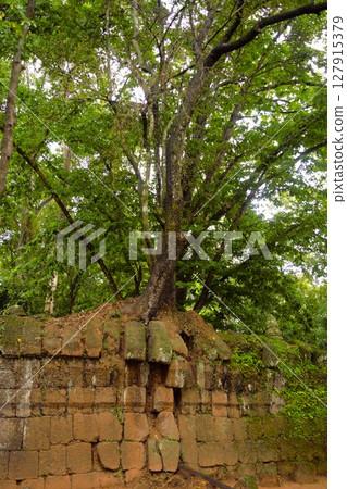 Koh Ker Ruins Cambodia 13 127915379