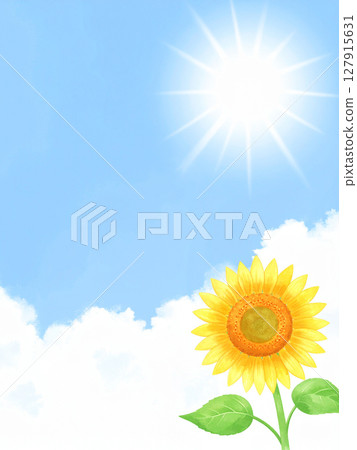 一朵向日葵和藍天 127915631