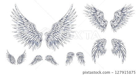 Angel wings sketch, pair of heraldic wings bird winged feathers up and down side hand drawn illustrations vector set Angel wings sketch, pair of heraldic wings bird winged feathers up and down side hand drawn illustrations vector set 127915875