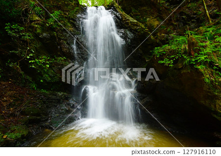 Okaru Falls in early summer (Kushihara Seven Falls, Gifu Prefecture) 127916110