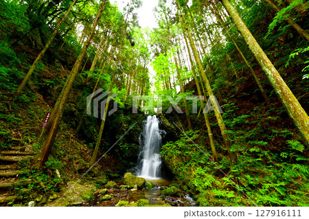 Okaru Falls in early summer (Kushihara Seven Falls, Gifu Prefecture) 127916111