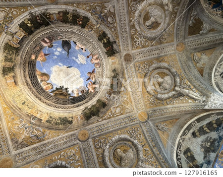 The Wedding Hall of Mantua 127916165