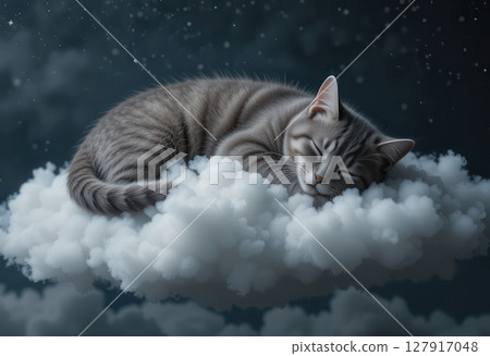 sleeping cat on fluffy cloud in dreamy night sky 127917048