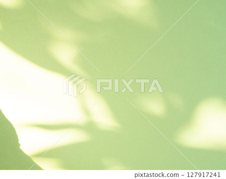 Green Background Abstract Overlay Shadow Leaf blur Cement Paper Mockup Product Beauty Cosmetic or Backdrop Template Eco System Environment Nature Clean Carbon, Card Art Retro Frame Wall Floor Web. 127917241