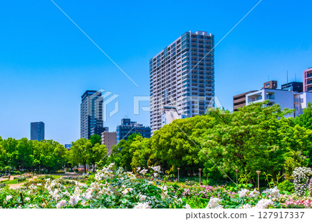 靱公園玫瑰園與塔樓 127917337