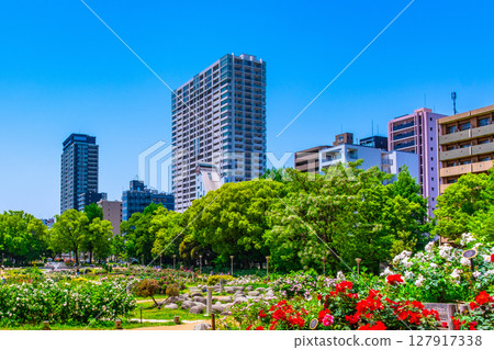 靱公園玫瑰園與塔樓 靱公園玫瑰園與塔樓 127917338