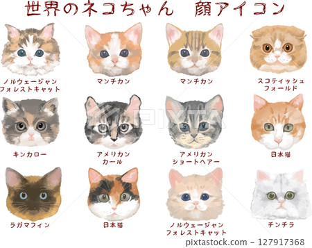 來自世界各地的貓臉圖示集 來自世界各地的貓臉圖示集 127917368